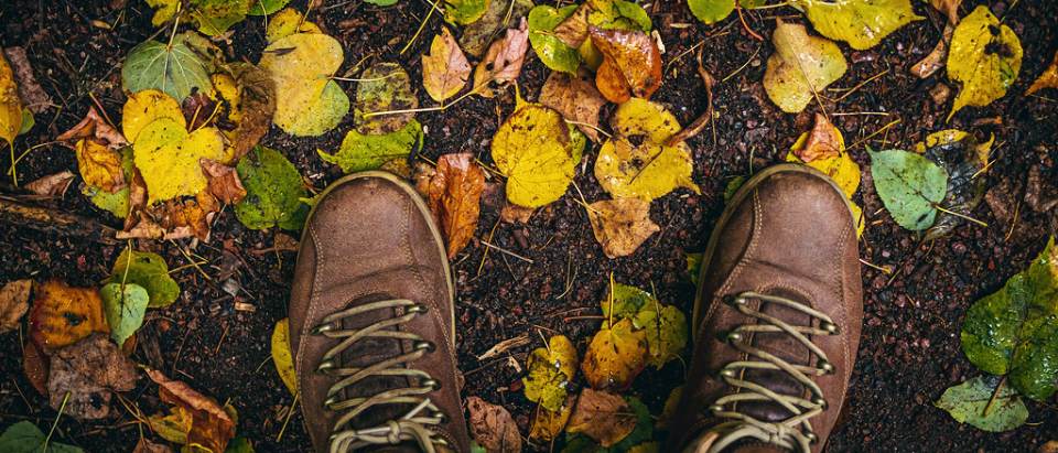 Vue de dessus d'une paire de chaussures de marche posées sur un tapis de feuilles d'automne.