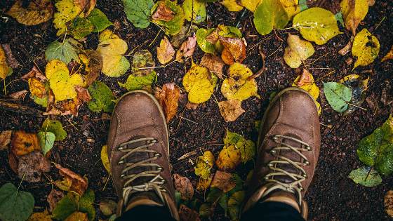 Vue de dessus d'une paire de chaussures de marche posées sur un tapis de feuilles d'automne.