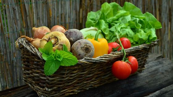 Un panier en osier rempli de légumes frais : salade, tomates, poivron, navets et oignons.